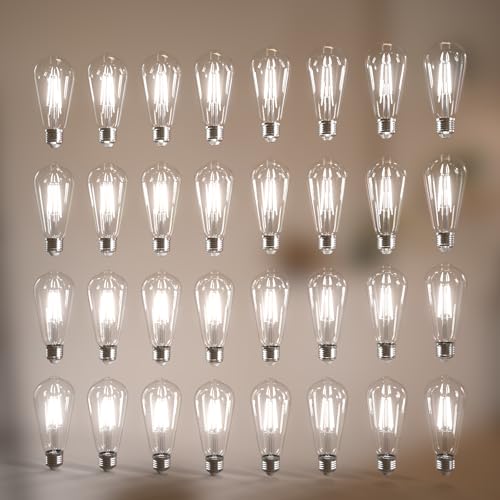 Image of Jensense Edison Bulbs E26 LED Bulb 60 Watt Equivalent, Vintage LED Light Bulbs CRI90+ ST19, Dimmable Clear Light Bulbs (5000k Daylight, 6watt-32 Pack)