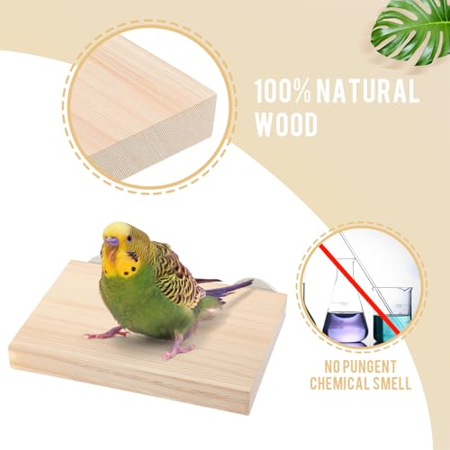 Image of Reginary 12 Pcs Wood Bird Platform Rectangle Wood Perch Stand Board Habitat Cage Corner Shelf with Washers Bird Paw Grinding Clean Accessories for Pet Budgie Parrot Cockatiels