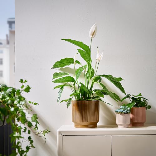 Pot de fleurs intérieur extérieur vert 19 cm HONUNGSPALM - 4