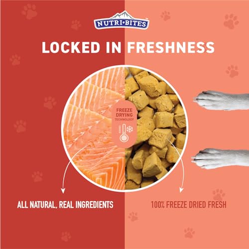 Image of Nutri Bites Freeze-Dried Salmon Dog & Cat Treats, Single Ingredient, 2-Pack