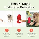 Bark Potty B0B2341W37 lato 3