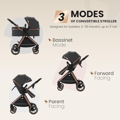 Image of Accombe 2-in-1 Convertible Baby Stroller for Newborn to Toddler | Skin-Friendly Breathable Fabric, All-Terrain Wheels for Smooth Ride, Adjustable Canopy with UPF50+ Protection