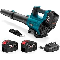 RAXONE 650 CFM Electric Leaf Blower with 2 6.0 Ah Batteries, Charger