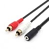 QiCheng&LYS 3,5 mm naar RCA-audiokabel, verguld 3,5 mm vrouwelijk naar 2RCA mannelijk stereo Y-splitter audiokabel voor smartphones, MP3, tablets, luidsprekers, thuisbioscoop (3.5 Vrouw tot 2RCA 30cm)