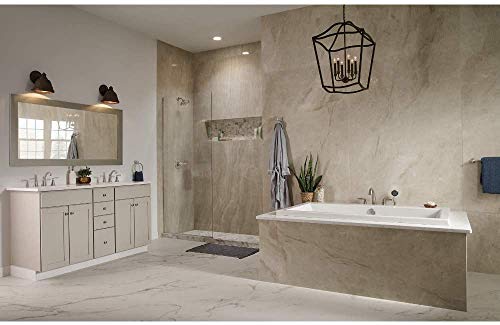 Delta Faucet 73250-Ss Woodhurst Toilet Paper Holder, Stainless #TOP2