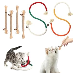 2 Stück Katzenminze Spielzeug – Interaktives Katzenspielzeug mit 2 Beißseilen und 4 Catnip Sticks – Fördert Katzen Zahnpflege und Selbstbeschäftigung – Perfekt für aktive Katzen, Katzenminze Stick.