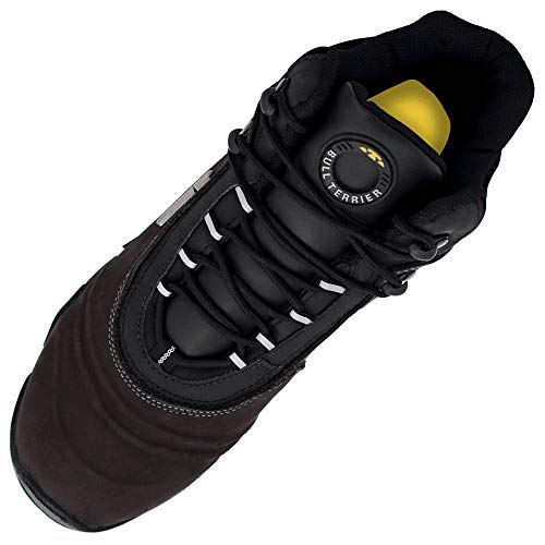 tenis para caminhada, esporte e trilha, Bull Terrier