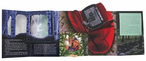 The Girl Who Loved Tom Gordon: A Pop-up Book