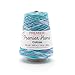 Premier Yarns 1032-06 Home Cotton Yarn - Multi Cone-Water Lilies