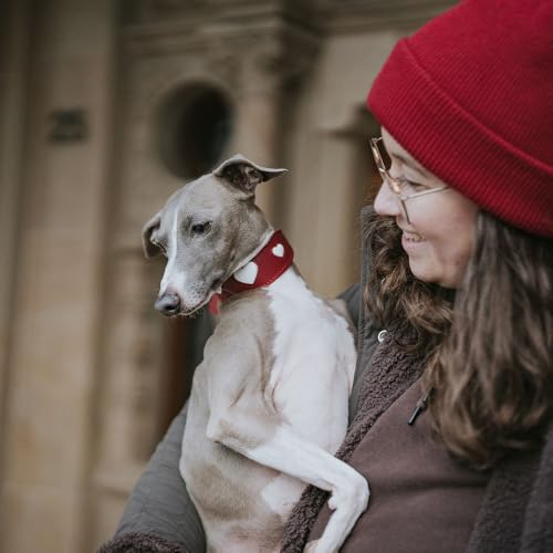 HUNTER Windhundhalsband Love, Farbe: rot/schwarz, weiches, Robustes Rindsleder, einzeln eingenähte Herzen, breitere Form, gepolstert, hoher, Made in Germany, Größe 32