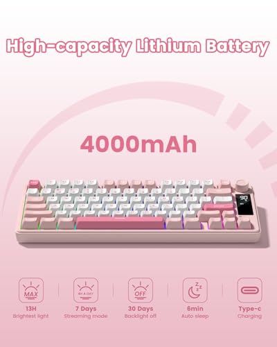 Image of Womier DK75 75% Wireless Gaming Keyboard, RGB Backlit Creamy Keyboard with Media Knob, OLED Screen, Tri-Mode 2.4GHz /USB-C /BT5.0, Anti-Ghosting No-Conflict Silent Membrane Keyboard for MAC Windows