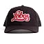 New Mexico Lobos