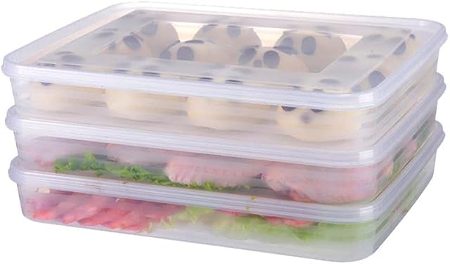 Food Containers with Lids, Transparent Dumpling Storage Box PP Organizer Tray Fridge Food Holder Refrigerator Stackable Case for Vegetables Meat Dumplings 3 Pieces