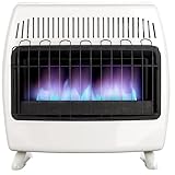 UTY 30,000 BTU Propane / Natural Gas Wall Heater for Indoor Use...