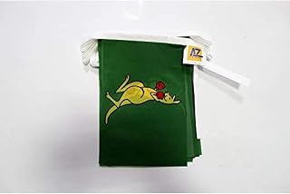 Boxing Kangaroo 6 meters BUNTING Flag 20 flags 9'' x 6'' - Australian national symbol - Australia STRING flags 15 x 21 cm - AZ FLAG