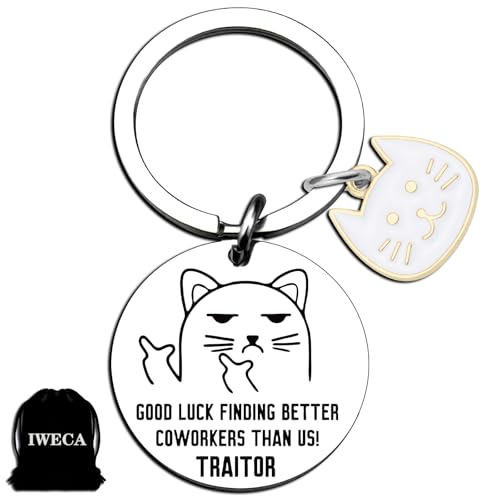 Iweca Farewell Gifts For Coworkers Good Luck Finding Better Coworkers