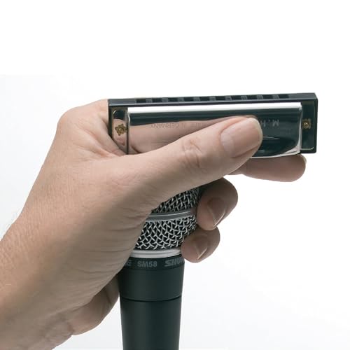 Apprendre l'harmonica autour d'un feu de camp avec la méthode des boîtes rétro