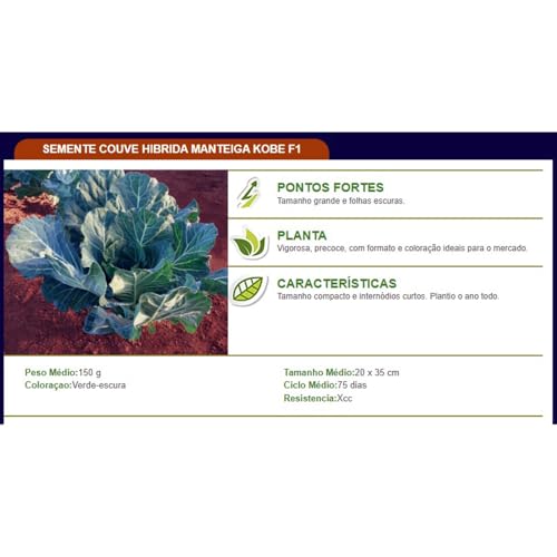 1.000 Sementes Couve Hibrida Kobe Topseed Alta Produtividade