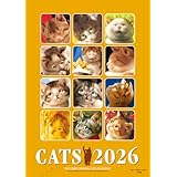 ２０２６年　ビッグコミックオリジナル　村松誠　猫カレンダー ([カレンダー])