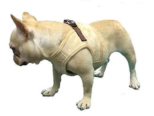 https://m.media-amazon.com/images/I/41KXLXASVTL._SL500_.jpg