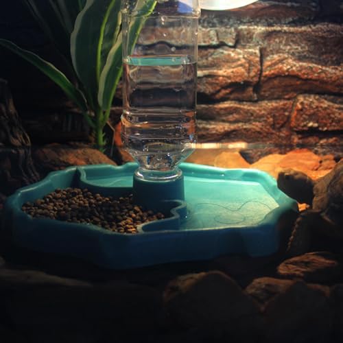 Wasserspender für Reptilien, unzerbrechlich, Futterspender für Reptilien, für Eidechsen, Geckos, Chamäleons, Schlangen, Schildkröten, Frösche, Haus, Haustiere, Terrarium und Tank-3