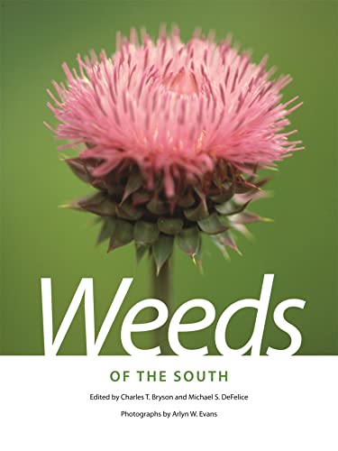 Book 1