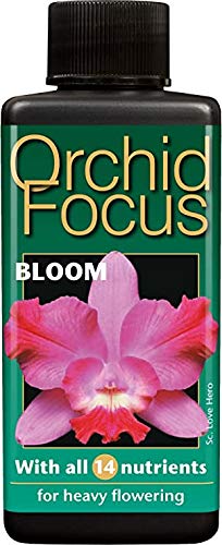 Orchid Focus Grow or Bloom Nutrient Hydro Hydroponics House Plant (Bloom 1L)