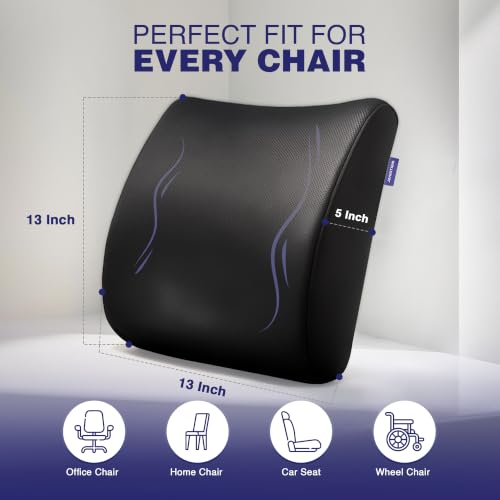 Image of WELLGIVER Lumbar Support | Memory Foam Back Support, Orthopedic Lumbar Support Back Rest for Back Pain Relief - Back Pillow for Sitting | Standard | Black Mesh