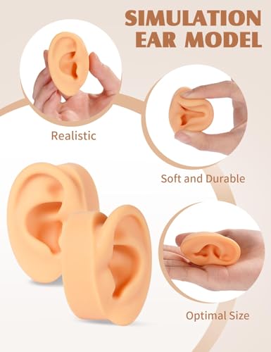 2 Pcs Soft Silicone Ear Model with Acrylic Stand, Left and Right Flexible Fake Ear for Earrings Display, Realistic Ear Model for Piercing Practice, Acupuncture Teaching Tool2