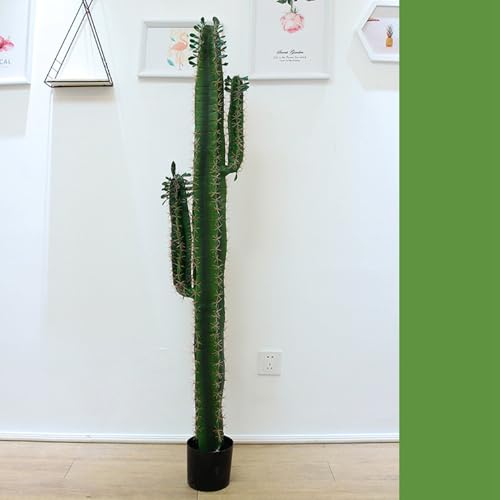 tFCNO[ A Mъϗt T{e 150cm lHϗtA A CeAO[ lHt ^Ηt { lHA ͂Ȃ sv X /O z[ K[f