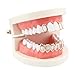 Huliyhus 18K Gold Plated Hip Hop Teeth Grillz Caps Open Face 2pcs Single Top and Bottom Grills for Your Teeth Grillz Set for Men Women (Rose Gold)