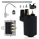 166-0761 Ignition Coil and 191-2227 Voltage Rectifier Replacement for 166-0772 166-0820 166-0648 166-0804 191-1748 191-2106 191-2208 Compatible with O-nan P-Series Ignition Coil Voltage Regulator Pack