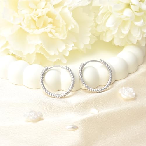 Twisted Hoop Earrings for Women Sterling Silver Hoop Earrings for Women Trendy Hypoallergenic Chunky Loop Earrings for Sensitive Ears Minimalist Fashion Huggie Earring Birthday Gifts for Ladies4