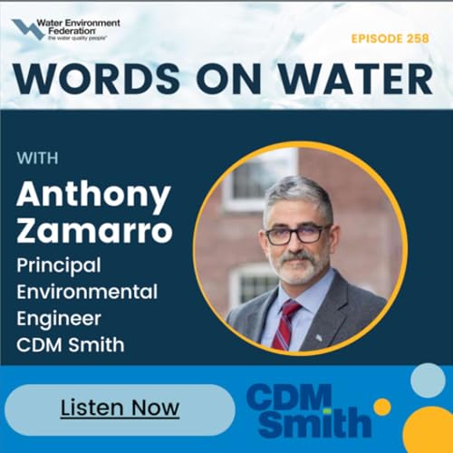 #258: The Application of Membrane Bioreactors to Industrial Reuse