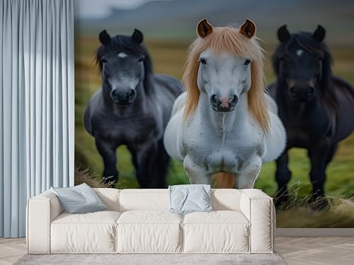 ̂t ǎ n 쐶 EH[XebJ[ _ pb`[N NX V[ ͂ DIY V[g 350×250cm  Ƌp  K-529