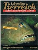  Lebendiges Tierreich Die neue Enzyklopädie in Farbe. Ein Agostini Sammelwerk Band 33