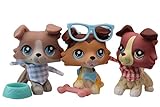 N/A USA LPS Collie Set of 3 1262 67 58 Raised Paw Blue Eyes Dog Puppy Figure with Accessories Lot...