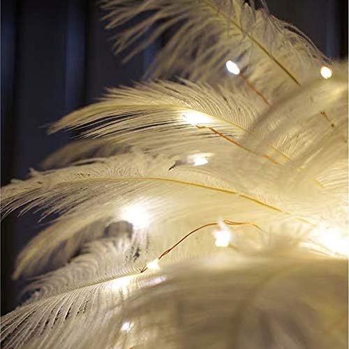 GUOCHENG Ostrich Feather Decor Night Light LED Copper String Light Signs Decorative Table Lamps with Remote Control for Nursery Girls Bedroom,USB and Battery Power (White)