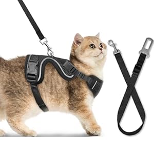 Cat Car Harness, Cat Harness and Leash Set, Soft and Breathable Vest with Reflective Strip, Anti Escape Adjustable Cat Harness, Easy to Wear for Cats Walking and Traveling, Black, M