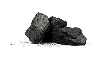 Natural Wood Charcoal for Barbeque, Grill, Gardening (1 Kg)
