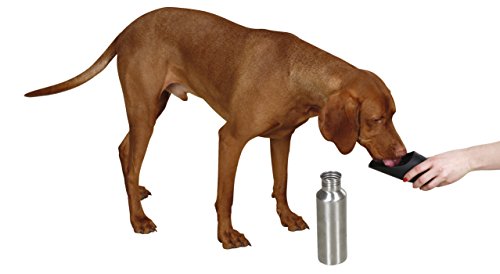 Kerbl Ciotola in Acciaio Inox Mobile Water, 750 ml...