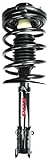 FCS 1332335 Complete Strut Assembly