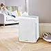 Beurer LR210 Air Purifier for Home, 3-Layer H13 True HEPA Filter System, 3 Fan Settings, Clean Ambient Air, Air Filter for Allergies & Pets, Cleaner with Sleep Mode & Timer