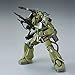 Bandai 1/100 MG MS-06K Zaku Cannon Ian Graden Custom Plastic Kit