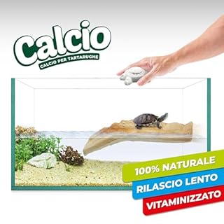 AF® - 8 Calcio per Tartarughe di Terra, 8 Pack Osso di Seppia per Tartarughe | Rilascia il Reptile calcium Lentamente, Evita il Cattivo Odore, Calcio Rettili
