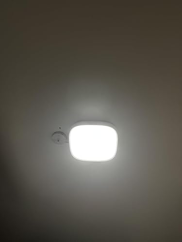 982456_6 982456_6