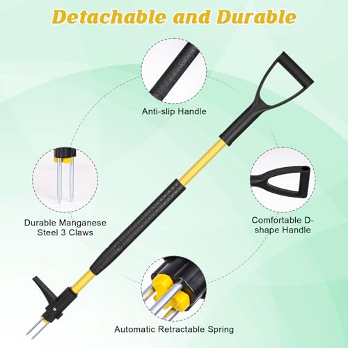 Gbekery LY-YMQ-001 39 Inch Detachable Weed Puller Tool Stand Up,Heavy Duty Ergonomic D-Handle Weeding Tool,High-Strength Stainless Steel 3-Claw Weeder thumb #2