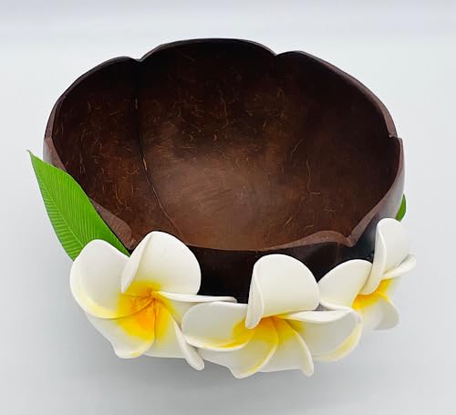 Amazon.co.jp: ハワイアン 天然ココナッツ使用 スタンド小物入れ