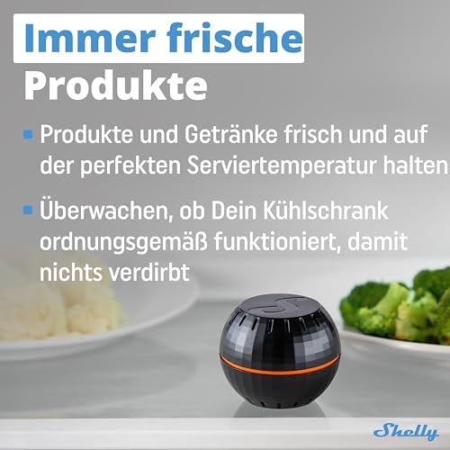 Shelly H&T Schwarz, Wlan Intelligenter Thermometer Hygrometer, Luftfeuchtigkeits- und Temperatursensor mit APP iOS Android & Datenspeicherung, Hausautomatisierung