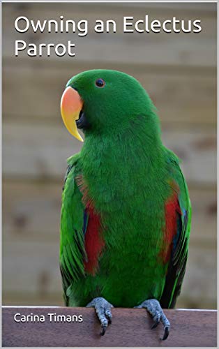 Owning an Eclectus Parrot (English Edition)